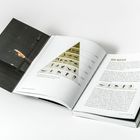 „DIE BASIS“ steht oben. Neben Text über Skills und Übungen ist eine Pyramiden-Grafik. Links im Buch: eine ausgestreckte Hand.