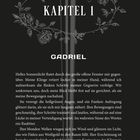 Kapitel 1: Gadriel. Text über einen Schwertkampf. Zierliche Blumen und ein Schwert zieren die Darstellung.