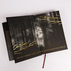 „DIE LUFT VIBRIERT. ES IST, ALS HIEBE DER WALD SELBST DEN ATEM AN.” Schwarze Waldgrafik mit goldenen Ästen.