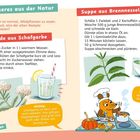 Leckeres aus der Natur: Limonade aus Schafgarbe, Suppe aus Brennnesseln. Illustrationen von Pflanzen und eine kochende Maus.