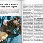 "Naturschutz – woran es in Hellas noch hapert". "Es tut sich was, wenn auch langsam". Bild: Robbe in blauer Decke.