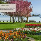 "Die Klosterinsel" und Beschreibung. Luftaufnahme einer Insel mit Gebäuden, umgeben von Wasser, Bäumen und Landschaft.