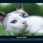 Cover/Product zoom