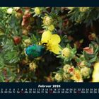 Cover/Product zoom