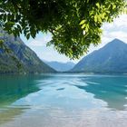 Ein klarer See spiegelt grüne Berge, über denen blauer Himmel ist. Im Vordergrund hängen grüne Blätter.