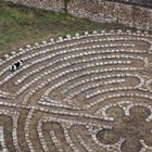 Keine Texte vorhanden. Ein gewundener Weg aus Steinen im Rasen, auf dem eine schwarz-weiße Katze entlangläuft.