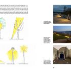 Text über Gartenbeleuchtung, Lichtreflexion und Atmosphäre. Links Illustrationen von Baumbeleuchtung. Rechts Fotos von beleuchteten Wegen.