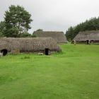 Grüne Wiese mit mehreren traditionellen strohgedeckten Häusern, umgeben von Bäumen.