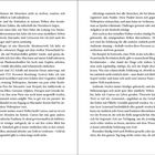 Seite 12 und 13 eines Buches, Text handelt von virtuellen Welten, Schiffe, Piratensetting und Systemen namens JollyRoger und Canvas.