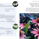 "Tränendes Herz", "Zierlauch", "Stauden für die Sonne". Bilder von Blüten: weiße Herzen und lilafarbene Kugeln.
