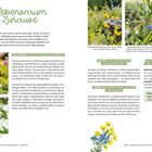 "VOM Lebensraum ZUM Zuhause", Text über naturnahe Gärten, Wildbienen, Käfer, Vögel. Bilder von Blumen, Gießkanne, Käfer.