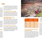 FAQ über Brennholz und Waldbewirtschaftung, Preise für Holzsorten wie Eiche und Buche, Bild zeigt Holzstämme im Wald.