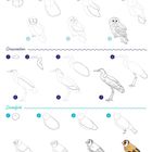 Anleitung zur Vogelzeichnung: Waldkauz, Graureiher, Distelfink. Schrittweise Skizzen von einfachen Formen bis zur detaillierten Zeichnung.