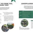Überschrift: "WIE ZIEHE ICH OHNE VIEL AUFWAND VOR?"  
Texte zu Tipps für Pflanzenanzucht und Vor- und Nachteile von Online- und Vor-Ort-Käufen.