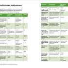 Seite 11 und 12 zeigen Maßnahmen zur Energieeinsparung mit Tabellen über Maßnahmen, Beschreibung, Kosten, Einsparung und Rendite.