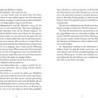 Auf den Seiten 16 und 17 eines Buches werden Textpassagen erzählt, darunter Gespräche und Gedanken über eine Katze und Alltagsmomente.