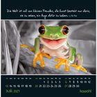 Zitat: "Die Welt ist voll von kleinen Freuden..." Kalender Juni 2027. Ein bunter Frosch sitzt auf einem Ast.