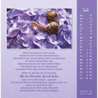 "Juli" steht oben rechts, darunter Wochentage und Daten. Ein Gedicht über Rückzug und Mitgefühl. Zwei Schnecken auf lila Blüten.