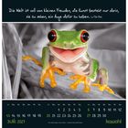 "Die Welt ist voll von kleinen Freuden..." steht oben. Fröhlicher Frosch mit roten Augen. Kalender unten: Juni 2027.