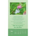 Gedicht über Freundschaft, Dank. Schmetterlinge auf Blume. Grüner Hintergrund. Kalender unten: Juni, Tage und Wochen.