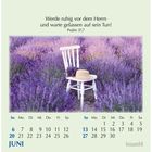 „Werde ruhig vor dem Herrn und warte gelassen auf sein Tun! Psalm 37,7“; Juni-Kalender; Stuhl im Lavendelfeld.