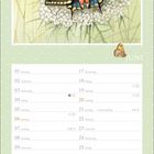 JUNI, Kalender mit einem Schmetterling auf weißen Blüten. Dezentes Design mit grünem Hintergrund und Kalendertagen.