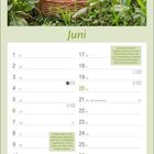 Kalenderblatt für Juni. Tipp zum Entfernen kranker Pflanzenteile. Bild: Körbe mit Tomaten in einem Garten.