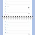 Kalenderseite für Juni mit Text über Katzen-Manias. Oben Baby-Katze, unten zwei Katzen. Datum 06 in der Ecke.