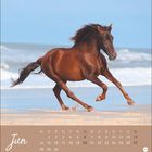 Kalenderblatt mit "Jun" und Datumsangaben. Braunes Pferd galoppiert am Strand vor dem Meer.