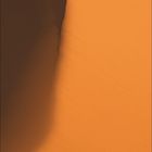 Kalenderblatt für Juni, zeigt Düne mit Kameldornbaum in Wüste, Namibia. Text: „21.6. Sommeranfang“.