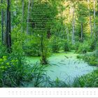 Ein Gedicht über einen verzaubernden grünen Wald, umgeben von dichtem, lebendigem Grün und einem ruhigen, moosbedeckten Teich.