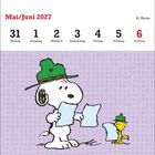 Mai/Juni 2027 Kalender, Wochenübersicht. Illustration von zwei Figuren mit grünen Hüten und Karten auf lilafarbenem Hintergrund.