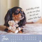 "Wahrhaftig ist doch nur das eine Glück, das sich mit anderen teilen lässt." Ein Hund mit Stoffbär, darunter Juni-Kalender.