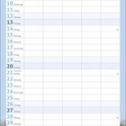 Kalender für Juni mit Daten und Wochentagen. Unten rechts: "Juni". Ein Kätzchen in einem Korb neben rosa Blumen.