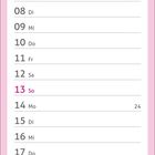 Kalender für Juni. Oben: kleines Kätzchen mit großen Augen und Pfoten auf einem Korb, blickt zu rosa Blüten.