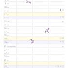 Kalender für Juni mit fliegenden violetten Vögeln und Illustration eines Jungen mit Fuchs in einem Wolkenballon.