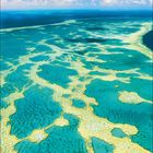 Kalenderblatt für Juni mit großem Riff und blauem Wasser, darüber blauer Himmel mit weißen Wolken.
