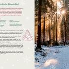 "Nordische Holzwichtel" mit winterlicher Bastelanleitung. Links Text, rechts Wald im Sonnenschein. Schneeflocken-Deko.