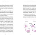 Text oben: "FOREVER YOUNG IM KOPF" und "MENTALE HÖCHSTFORM BIS INS HOHE ALTER". Unten: Diagramm über Alzheimer-Entstehung im Gehirn.