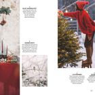 ES IST ANGERICHTET, SÜSSER SPATZ, HEILIGES MILCHKÄNNCHEN, LICHTERMEER, SCHNELLE ADVENTSDEKO. Winterliche Dekorationen und Szenen.