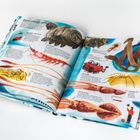 Zeitschrift mit Illustrationen von ungewöhnlichen Meeresbewohnern, darunter Wasserbär, Riesenkalmar und Asselspinne, mit Beschreibungen.