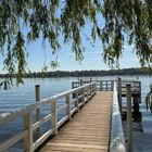 Steg im Garten der Liebermann-Villa. Ein Holzsteg führt über das Wasser, umrahmt von hängenden Baumzweigen.