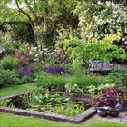 Ein üppiger Garten mit Teich, bunten Blumen, Bäumen, Sträuchern und einer Holzbank im Hintergrund.