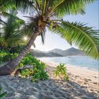 Kein Text erkennbar. Eine malerische Strandlandschaft mit Palmen, weißem Sand und Meer, im Hintergrund sind Hügel sichtbar.