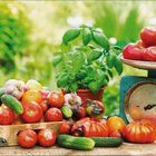 Verschiedene Gemüse, darunter Tomaten, Gurken und Knoblauch auf einem Tisch neben einer Waage und einem Basilikumtopf.