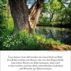 16. Woche, April 20-27. Zitat von Buddha Shakyamuni: "Lass deinen Geist still werden..." Frühlingswald mit Teich.