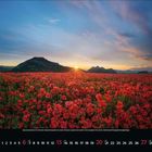Kalender unten zeigt Juni 2021. Ein poppiges Feld vor Bergen im Sonnenaufgang.