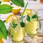 Zwei Gläser Zitronenlimonade mit Eiswürfeln, Minzblättern und Zitronenscheiben, umgeben von frischen Zitronen.