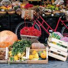 Frisches Gemüse und Obst, arrangiert vor einem roten Fahrrad, mit Körben und Kisten voll bunter Ernte.