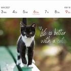 Mai 2027 Kalender. "Life is better with a cat." zeigt eine schwarz-weiße Katze auf einer grünen Bank.
